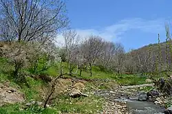 The village of Almalu