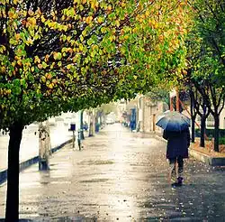 A rainy day in Arak