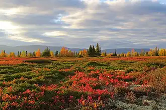Along the shore of Lake Lovozero