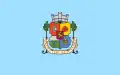 Flag of Sofia Province