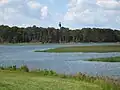 Chincoteague National Wildlife Refuge with lighthouse in distance