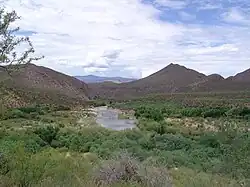 Upper Salt River (Arizona) with the Sierra Ancha in the background.