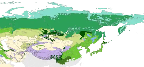 The eastern Palearctic biomes
