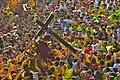 Catholic procession of the Black Nazarene in Manila