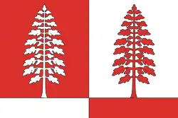 Flag of Krasnoborsky District