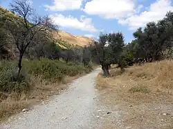 Old road from Rosh Pinna to Safed, Upper Galilee, Israel