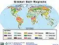 Global soil regions