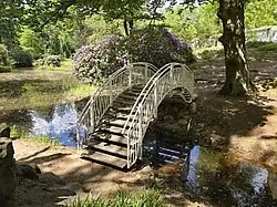 Kromlau Azalea and Rhododendron Park