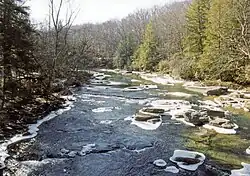 A rushing stream between two tree-lined shores.