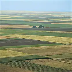 Cultivated fields in northern Valladolid Province