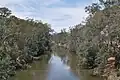 Goulburn River at Murchison, 2009