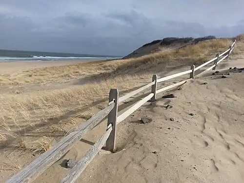 The outer beach of Cape Cod National Seashore in Wellfleet.