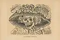 La Catrina, by José Guadalupe Posada.