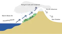 Simplified example of the rain shadow effect