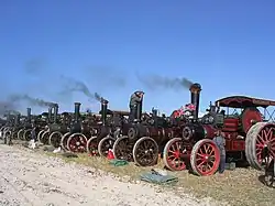 photograph of a row of traction engines at the Great Dorset Steam Fair