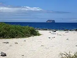 Beach in the Galápagos Islands reserved for marine animals