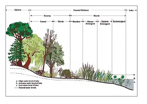 Upland vs. wetland vs. lacustrine zones