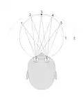 Horopter