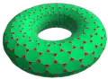 tH24×12 projected to torus