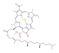 bacteriochlorophyll b