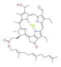 bacteriochlorophyll e