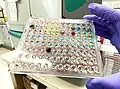 Multitarget microbial panel. A small amount of the bacteria to be tested is placed in each well, each of which has the ingredients for a separate test.