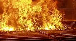 Ignition inside an incinerator caused by electricity, in this case deliberate. The same could happen in a circuit or building.