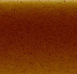 Polystyrene nanoparticle coating done with the Langmuir-Blodgett method