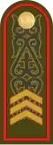 Cержант Serjant (Kazakh Ground Forces)[55]