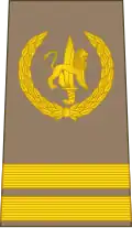 Sergent (Congolese Ground Forces)[44]