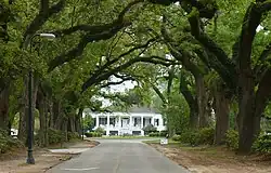 Stewartfield and the Avenue of the Oaks