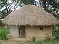 Alur house