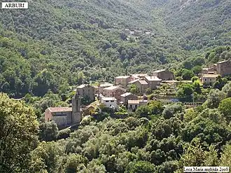 Arbori Village