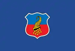 Flag of Copiapó