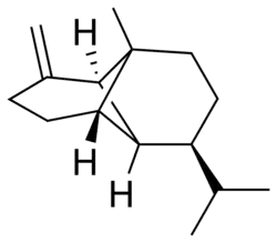 β-copaene
