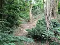 Catton Grove Chalk Pit