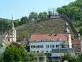 Vineyard and Clingenburg