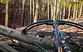 Modern hunting crossbow
