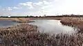 Crossness Nature Reserve