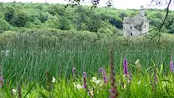 Dromore Castle