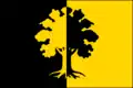 Flag of Dubí
