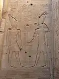 Ptolemy IX