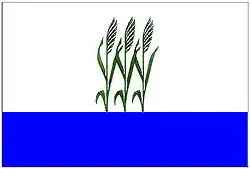 Flag of Kamyshin