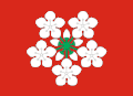 Flag of Lier Municipality