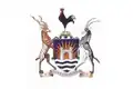 Flag of Mutare