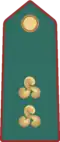 Tenente (Sammarinese Guard of the Rock)