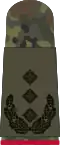 Oberst i.G. (Gen. staff service)