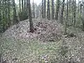 A kurgan in the area of Jatwieź Duża