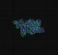 RLR: Grows chaotically. It is not known whether this ant ever produces a highway.