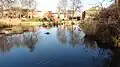 Lavender Pond